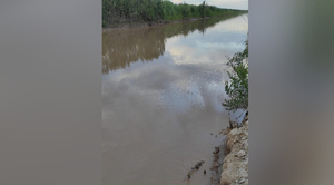Diario HOY | Río Pilcomayo: concluyó la limpieza vegetal en zona de Gral. Díaz
