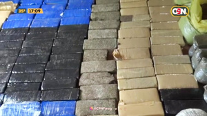 Descubrieron un depósito de marihuana en Presidente Franco - C9N