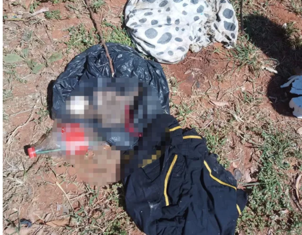 Hallan un feto en el patio de una empresa de transporte