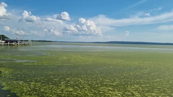 La recuperación del legendario lago Ypacaraí se reduce a planes y promesas - Nacionales - ABC Color