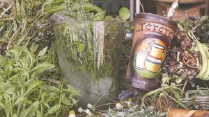 Los remedios yuyos para yerar y aliviar el karu vai