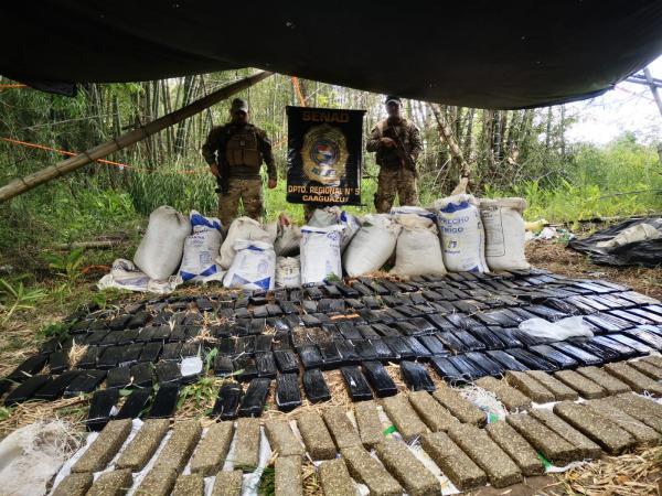 SENAD desarrolla operativo contra narcocampamentos y cultivos ilícitos en Caaguazú