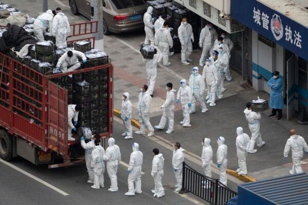 Cerca de 250 millones de chinos habrían contraído COVID-19 en diciembre | 1000 Noticias
