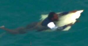 La Nación / Suertudo: sobrevivió 24 horas aferrado a una tabla entre cocodrilos y tiburones