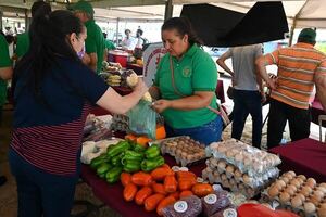 Diario HOY | Más de mil productores fortalecieron sus emprendimientos agrícolas