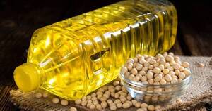 La Nación / Altos precios internacionales amortiguaron caída de envíos de productos derivados de la soja