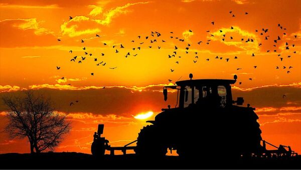 14 sucesos que dejaron su huella en el mundo agro: cultivos que batieron récord y el peor año de la soja