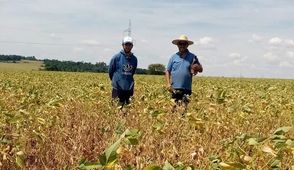 Recuperación dispareja este año y con más incertidumbres para el 2023 - Economía - ABC Color