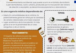 Aparición de alacranes es un riesgo ante elevadas temperaturas