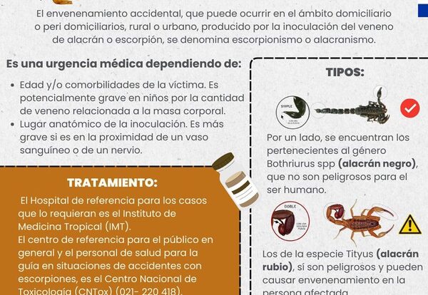 Aparición de alacranes es un riesgo ante elevadas temperaturas