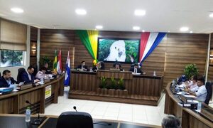 Comisiones asesoras no se definirán este año