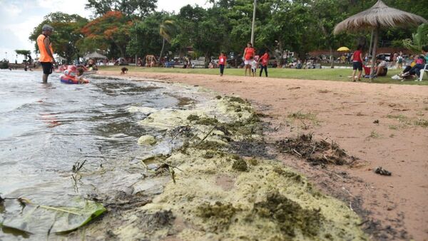 Lago Ypacaraí: "Es como bañarse en un inodoro", advierten desde el Mades