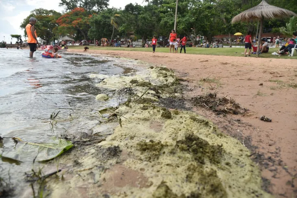 Lago Ypacaraí: "Es como bañarse en un inodoro", advierte directora del Mades - Noticiero Paraguay