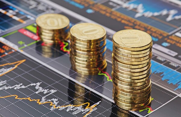 Evolución de la inversión directa en el Paraguay | Economía y Finanzas | 5Días