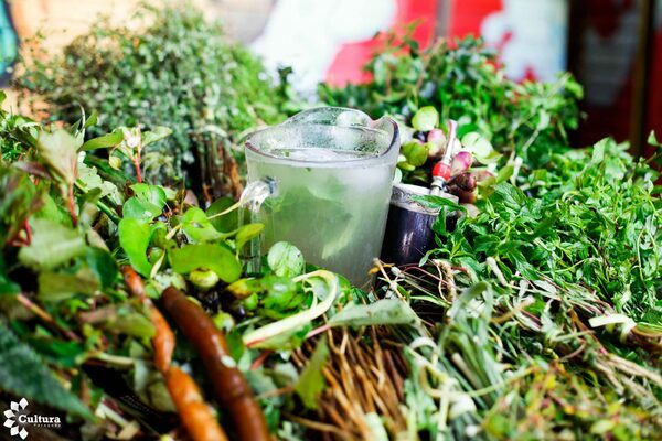 Hierbas medicinales, la cura de los paraguayos para los excesos de Nochebuena - Revista PLUS