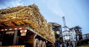La Nación / Cañicultores de Troche, con pérdidas de G. 122.500 millones a causa de Petropar