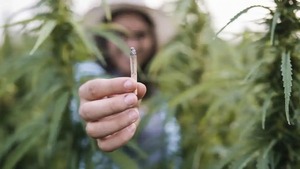 DINAVISA alerta que cigarrillos de cannabis no tienen registro sanitario - Megacadena — Últimas Noticias de Paraguay