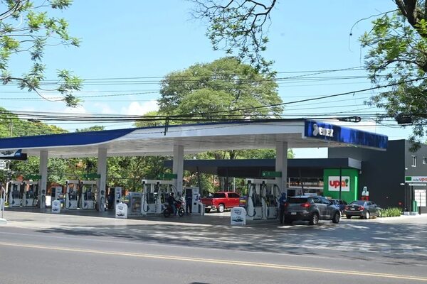 Inhabilitar estaciones de servicio en Asunción “dejará un antecedente”, dice concejal - Política - ABC Color