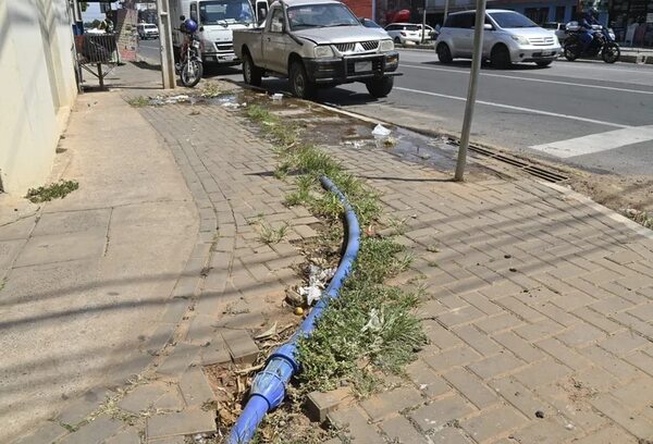 Fiscala del caso metrobús: “Hay tiempo para seguir investigando” - Economía - ABC Color