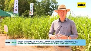 En Cooperativa Carlos Pfannel hablan de industrializar caña y su comercialización - ABC Rural - ABC Color