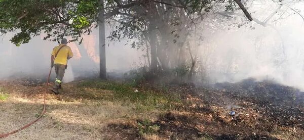 Preocupan incendios provocados en zona de Ayolas - Nacionales - ABC Color