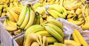 La Nación / Bananeros piden asistencia para lidiar con sobreproducción