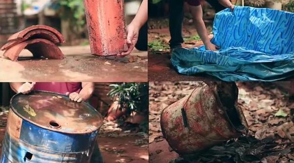 Instan a combatir con los criaderos de mosquitos para recibir el Año Nuevo – Prensa 5