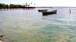 Lago Ypacaraí con alto nivel de contaminación: “Lo de azul es una alegoría de una canción”