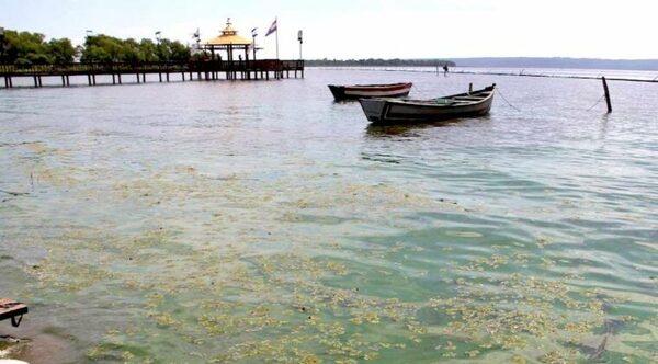 Lago Ypacaraí con alto nivel de contaminación: “Lo de azul es una alegoría de una canción”