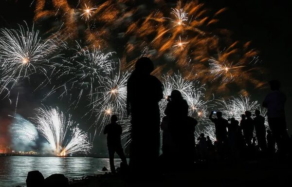 Fuegos artificiales “silenciosos” para respetar animales en la Navidad belga - Mundo - ABC Color