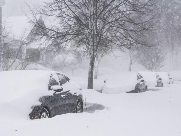 La “tormenta de nieve del siglo” deja casi 50 muertos en EEUU - ADN Digital