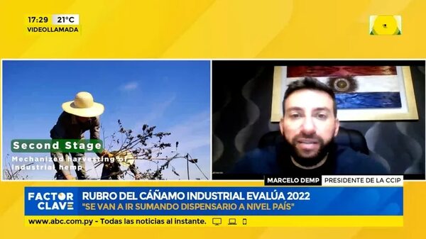 Rubro del cáñamo industrial evalúa 2022 - Factor Clave - ABC Color