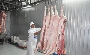 Paraguay reactivó exportación de carne de cerdo a Rusia - Economía - ABC Color