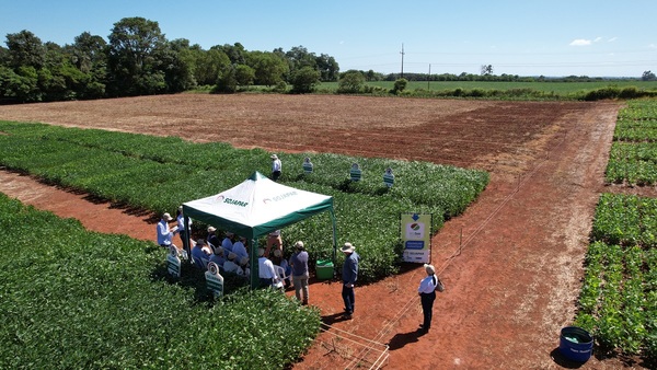 INBIO presentó trabajos de investigación agrícola que apuntan a la eficiencia productiva