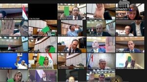 Habría cuórum en el Senado para que jure Kronawetter