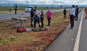 Hallan el cadáver de un hombre al costado de la ruta en Coronel Oviedo - Noticiero Paraguay