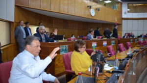 Bancada del Frente Guasu es la más productiva en el Senado - El Independiente