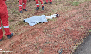 Arrollan, matan y abandonan a hombre en Coronel Oviedo - OviedoPress