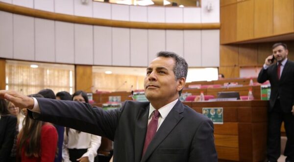 Senado tomó juramento a Kronawetter