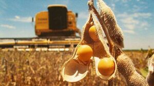 Esperan que el 2023 sea el año del repunte de la producción agrícola