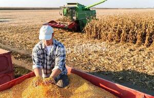 Para el 2023 se aguarda un repunte de la producción agrícola en el territorio nacional – Diario TNPRESS