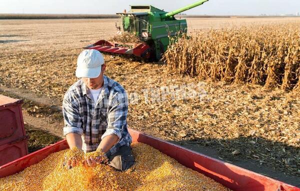 Para el 2023 se aguarda un repunte de la producción agrícola en el territorio nacional – Diario TNPRESS