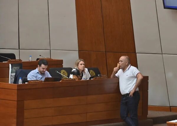 Conozca a los siete diputados menos productivos del 2022 - Política - ABC Color