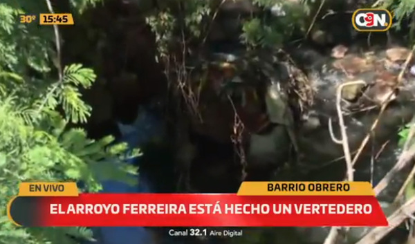 Desidia del Arroyo Ferreira - C9N