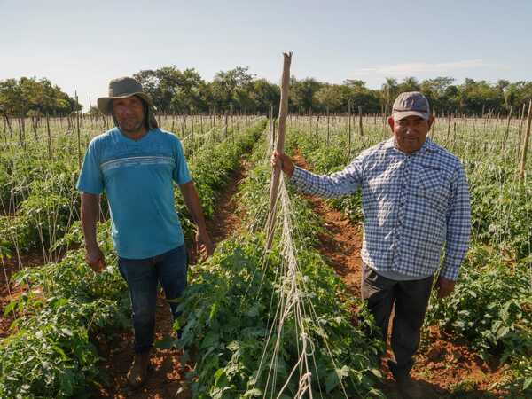 Buscan valorizar la agricultura familiar paraguaya | 1000 Noticias