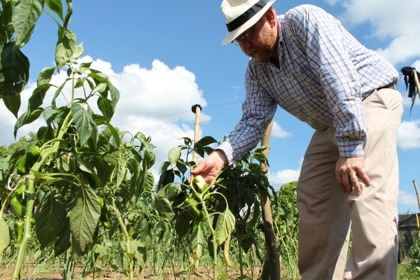 Auguran que para el 2023 se alcance un aumento en la producción agrícola