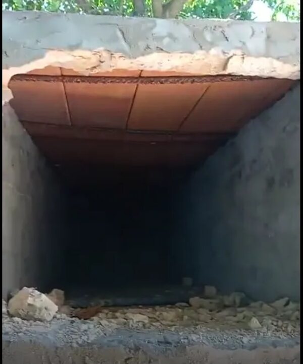 Video: denuncian profanación y hurto de cuerpos del cementerio de Areguá - Policiales - ABC Color