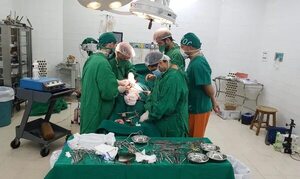 INAT resalta 41 trasplantes de médula: ¿Cuánto cuesta en el sector privado? - Nacionales - ABC Color