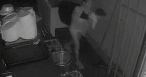 La Nación / Con su bebé en brazos, mujer robó varios objetos en Limpio