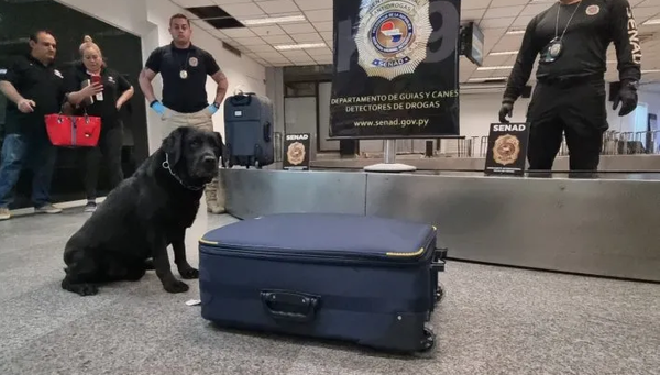 Perro Rocky evita que una mujer lleve casi 5 kilos de cocaína a Turquía - Noticiero Paraguay